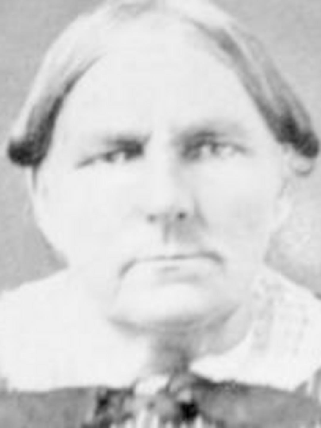 Mary Ann Nicholas (1820 - 1860) Profile